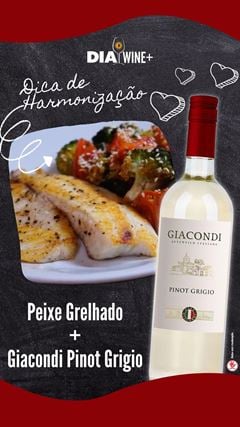 Vinho Giacondi Pinot Grigio Branco 750ml