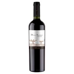 Vinho Alma Tierra Cabernet Franc Tinto 750ml