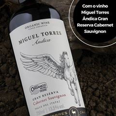 Vinho Miguel Torres Ándica Gran Reserva Cabernet Sauvignon Tinto 750ml