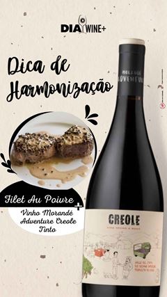 Vinho Morandé Adventure Creole Tinto 750ml