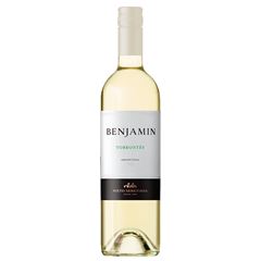Vinho Benjamin Torrontés Branco 750ml